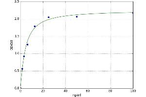 Protein Disulfide Isomerase Family A, Member 4 (PDIA4) ELISA Kit