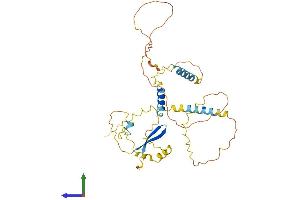 AlphaFold protein structure predicition of Human Recombinant LSP1 Protein, UniprotID P33241