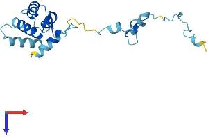 TPPP2 Protein (AA 1-170) (His tag)