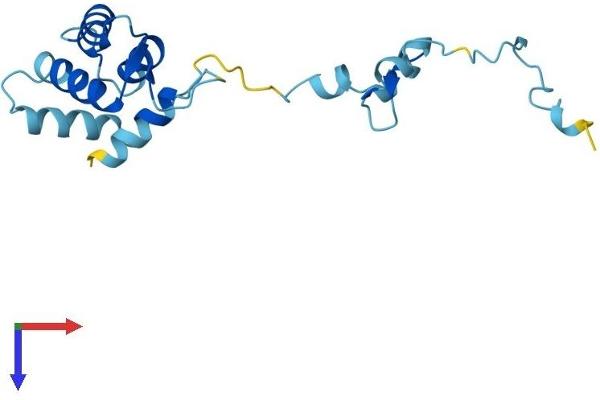 TPPP2 Protein (AA 1-170) (His tag)