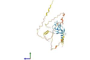 Protein Structure (PS) image for Odd-Skipped Related 1 (OSR1) (AA 1-266) protein (His tag) (ABIN7550329)
