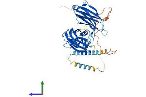 Protein Structure (PS) image for Synaptotagmin I (SYT1) (AA 1-422) protein (His tag) (ABIN7555672)