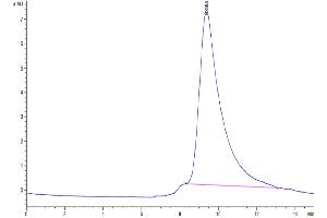 Size-exclusion chromatography-High Pressure Liquid Chromatography (SEC-HPLC) image for SARS-CoV-2 Spike S1 (B.1.1.529 - Omicron) protein (His-Avi Tag,Biotin) (ABIN7274405)