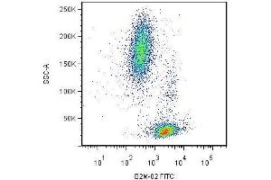 Surface staining of human peripheral blood cells by mouse monoclonal anti-beta2-microglobulin antibody B2M-02 . (beta-2 Microglobulin 抗体)