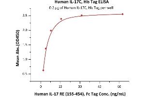 Immobilized Human IL-17C, His Tag (ABIN6950977,ABIN6952297) at 2 μg/mL (100 μL/well) can bind Human IL-17 RE (155-454), Fc Tag (ABIN6938940,ABIN6950995) with a linear range of 0. (IL17C Protein (AA 19-197) (His tag))
