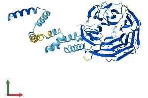 Protein Structure (PS) image for F-Box and WD Repeat Domain Containing 2 (FBXW2) (AA 1-454) protein (His tag) (ABIN7547629)