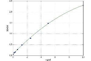A typical standard curve (CCR7 ELISA 试剂盒)