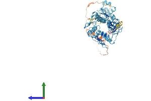 AlphaFold protein structure predicition of Human Recombinant ZNF737 Protein, UniprotID O75373