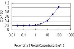 Detection limit for recombinant GST tagged FBXL3 is approximately 1ng/ml as a capture antibody. (FBXL3 抗体  (AA 1-100))