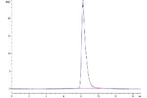 Size-exclusion chromatography-High Pressure Liquid Chromatography (SEC-HPLC) image for Antigen P97 (Melanoma Associated) Identified By Monoclonal Antibodies 133.2 and 96.5 (MFI2) (AA 20-709) protein (His tag) (ABIN7275253)