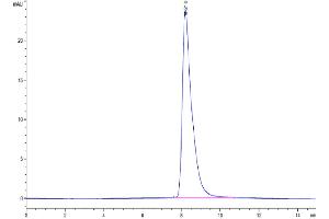 The purity of Mouse CD228 is greater than 95 % as determined by SEC-HPLC. (MFI2 Protein (AA 20-709) (His tag))