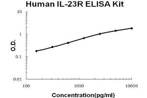 Human IL-23R PicoKine ELISA Kit standard curve (IL23R ELISA 试剂盒)