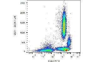 Surface staining of human peripheral blood with anti-human CD44 (MEM-85) FITC. (CD44 抗体  (FITC))