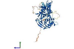 Protein Structure (PS) image for Ubiquitin Specific Peptidase 22 (USP22) (AA 1-525) protein (His tag) (ABIN7557435)