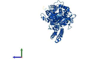 Protein Structure (PS) image for N-Acetylated alpha-Linked Acidic Dipeptidase 2 (NAALAD2) (AA 1-740) protein (His tag) (ABIN7554673)