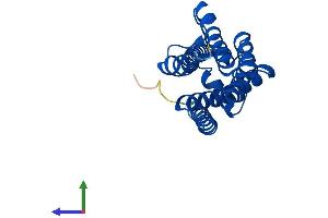 AlphaFold protein structure predicition of Mouse Recombinant Ebpl Protein, UniprotID Q9D0P0 (EBPL Protein (AA 1-206) (His tag))