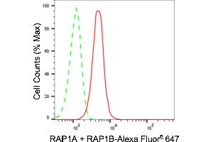 Flow cytometric analysis of RAP1A + RAP1B expression in HeLa cells using RAP1A + RAP1B antibody (ABIN7800133), 1:2,000). (Recombinant RAP1A + RAP1B 抗体)
