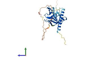 Protein Structure (PS) image for Opa Interacting Protein 5 (OIP5) (AA 1-229) protein (His tag) (ABIN7549515)