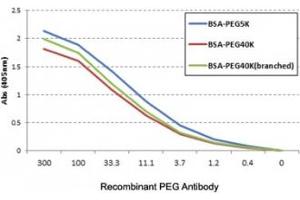 ELISA of three different PEGylated BSAs using the recombinant PEG antibody. (Recombinant PEG 抗体)