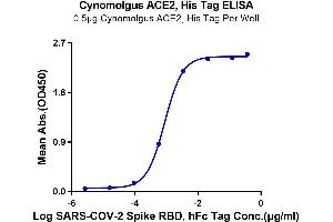 ELISA image for Angiotensin I Converting Enzyme 2 (ACE2) (AA 18-739) protein (His-Avi Tag) (ABIN7273789)