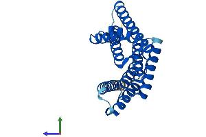 Protein Structure (PS) image for 14-3-3 theta (YWHAQ) (AA 1-245) protein (His tag) (ABIN7556656)