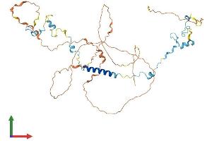 Protein Structure (PS) image for Sperm Associated Antigen 8 (SPAG8) (AA 1-470) protein (His tag) (ABIN7563770)