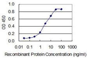 Detection limit for recombinant GST tagged PPP1R8 is 0. (PPP1R8 抗体  (AA 1-209))