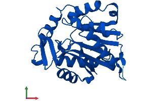 Protein Structure (PS) image for Methyltransferase Like 11A (METTL11A) (AA 1-223) protein (His tag) (ABIN7559707)