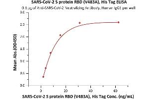 ELISA image for SARS-CoV-2 Spike S1 (RBD), (V483A) protein (His tag) (ABIN6953173)