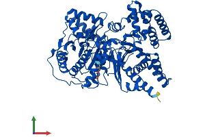 Protein Structure (PS) image for Carnitine O-Octanoyltransferase (CROT) (AA 1-612) protein (His tag) (ABIN7561320)