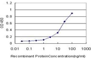 Detection limit for recombinant GST tagged GUCY1A3 is approximately 1ng/ml as a capture antibody. (GUCY1A1 抗体  (AA 41-140))