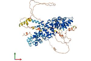 Protein Structure (PS) image for Plakophilin 1 (PKP1) (AA 1-728) protein (His tag) (ABIN7556786)