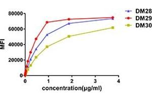Affinity ranking of different Rabbit anti-CD38 mAb clones by titration of different concentration onto Raji cells. (CD38 抗体  (AA 43-300))