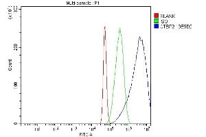 Flow Cytometry analysis of A431 cells using anti-CTBP2 antibody (ABIN7601325). (CTBP2 抗体  (AA 321-445))