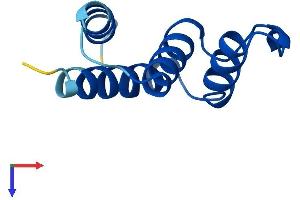 AlphaFold protein structure predicition of Mouse Recombinant Dbil5 Protein, UniprotID O09035