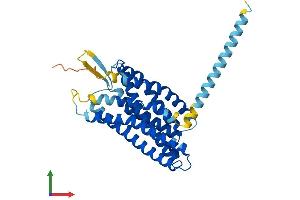 Protein Structure (PS) image for G Protein-Coupled Receptor 65 (GPR65) (AA 1-337) protein (His tag) (ABIN7557650)