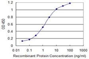 Detection limit for recombinant GST tagged IFITM3 is 0. (IFITM3 抗体  (AA 1-133))