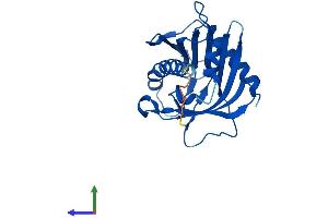 Protein Structure (PS) image for StAR-Related Lipid Transfer (START) Domain Containing 6 (STARD6) (AA 1-220) protein (His tag) (ABIN7546369)