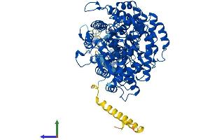 AlphaFold protein structure predicition of Mouse Recombinant Rrm1 Protein, UniprotID P07742 (RRM1 Protein (AA 1-792) (His tag))