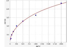 Typical standard curve (BMP7 ELISA 试剂盒)