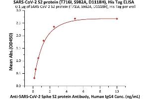 ELISA image for SARS-CoV-2 Spike S2 (B.1.1.7 - alpha) (Active) protein (His tag) (ABIN6992374)