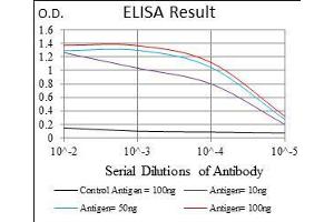 Black line: Control Antigen (100 ng), Purple line: Antigen(10 ng), Blue line: Antigen (50 ng), Red line: Antigen (100 ng), (ONECUT3 抗体  (AA 350-455))