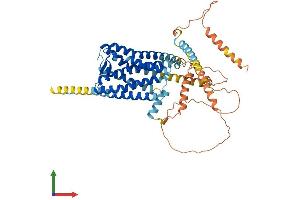AlphaFold protein structure predicition of Human Recombinant GPR161 Protein, UniprotID Q8N6U8