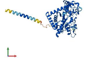 Protein Structure (PS) image for Galactose-3-O-Sulfotransferase 2 (GAL3ST2) (AA 1-398) protein (His tag) (ABIN7547793)