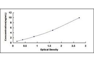 Typical standard curve (GPIHBP1 ELISA 试剂盒)