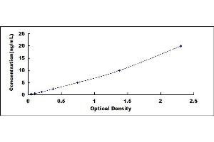 Typical standard curve (CD19 ELISA 试剂盒)