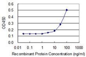 Detection limit for recombinant GST tagged HGD is 3 ng/ml as a capture antibody. (HGD 抗体  (AA 1-329))