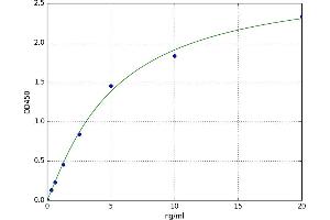 5'-Nucleotidase, Ecto (CD73) (NT5E) ELISA Kit