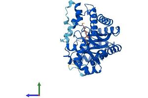 Protein Structure (PS) image for Adenosine Deaminase-Like Protein (ADAL) (AA 1-355) protein (His tag) (ABIN7551903)