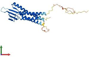 Protein Structure (PS) image for Claudin 12 (CLDN12) (AA 1-244) protein (His tag) (ABIN7553448)